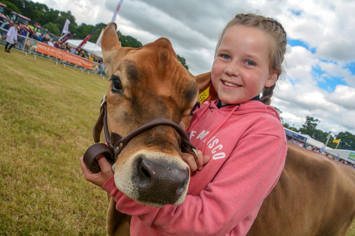 middevonshow's tweet photo. Another young handler exhibiting her livestock at this years show
Picture thanks to @lewis_clarke88
#middevonshow #middevonshow2018 #knightshayes #nationaltrust #tiverton #cullompton #crediton #middevon #devon #southwest #show #cattle #livestock #cow #bull #youth https://t.co/n3f90DEUke
