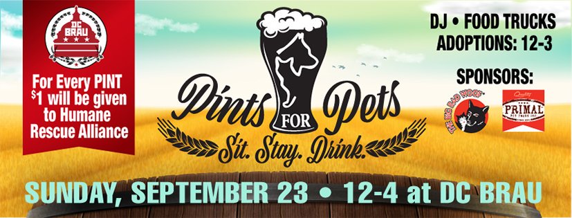 CHOOSEDC's tweet photo. #PintsForPets is TODAY from 12-4 p.m @dcbrau @HumaneRescue https://t.co/waUIKN6JLG