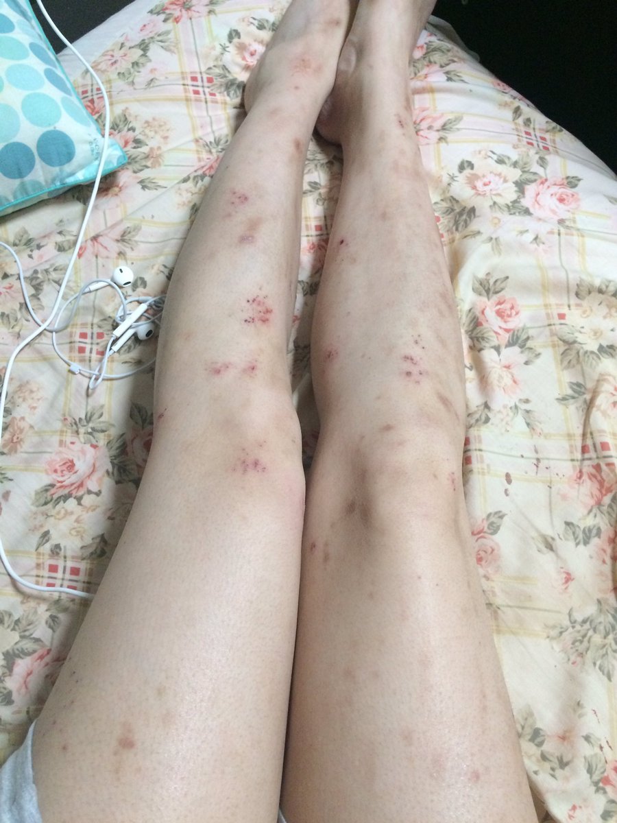 もぐ Hjbehsu6rdovisz Twitter