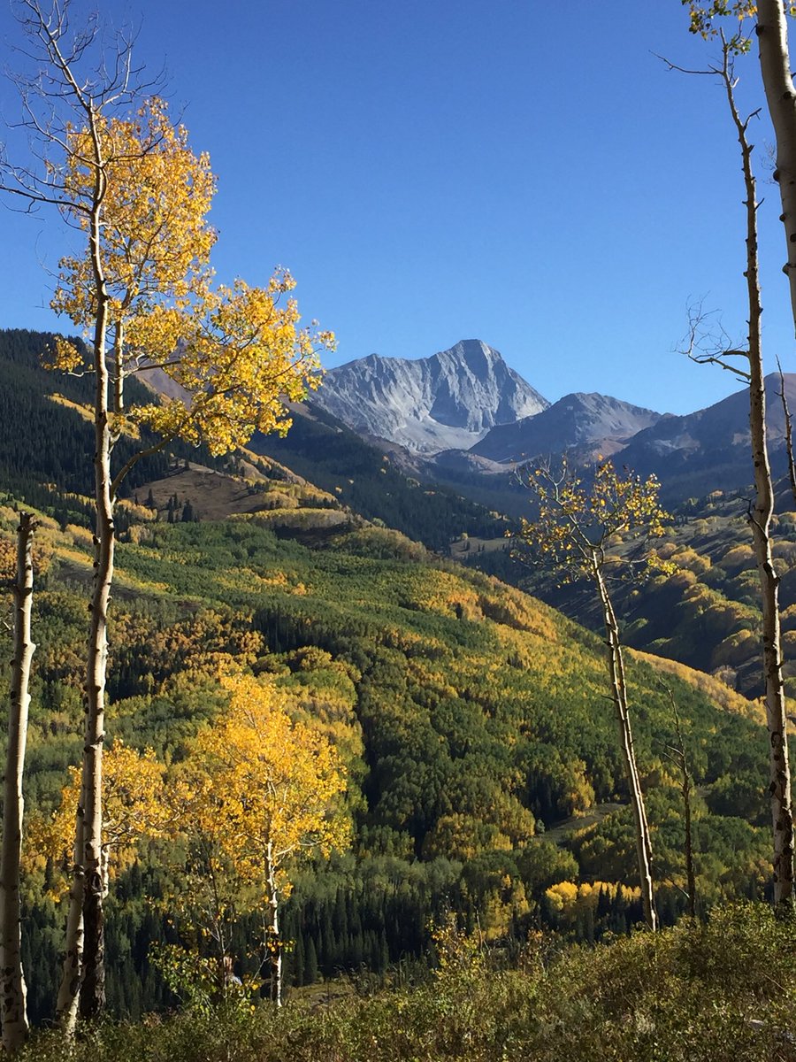 bridgingbionics's tweet photo. Our program is located in the most beautiful place in Colorado. #climbyoureverest #dailyeffort #spinalcordinjuryawareness month! #aspenfall @Snowmass @AspenSnowmass https://t.co/JzujYB5N5X