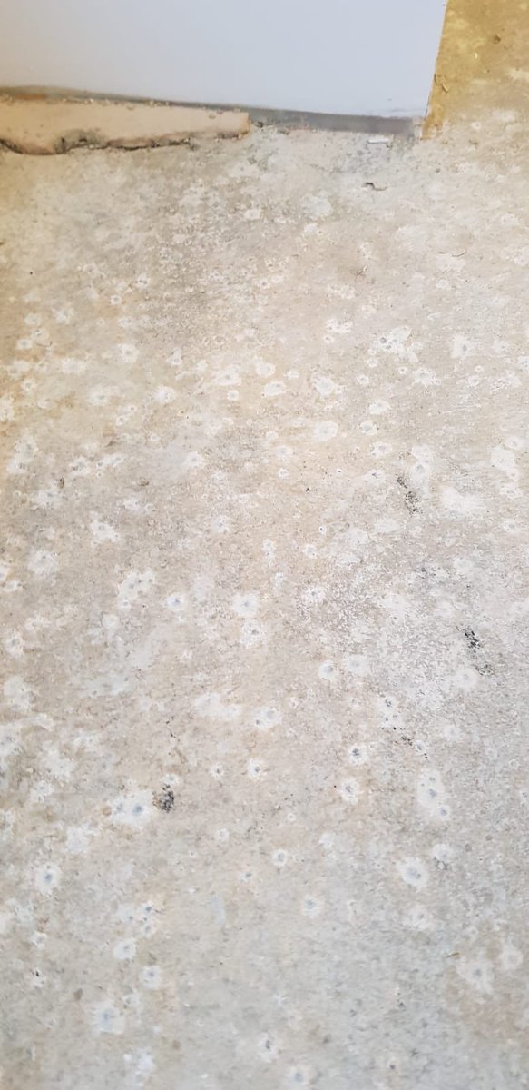 NilpaChauhan's tweet image. Disgusted with @CharlesChurchUK customer service regarding severe widespread mould issue. Disregard to public health with a toddler in an inhabitable house. No wonder #jefffairburn got a huge bonus @NHBC @CharnwoodBC @BBCWatchdog @PersimmonHomes #liamscott @persimmon @leicslive