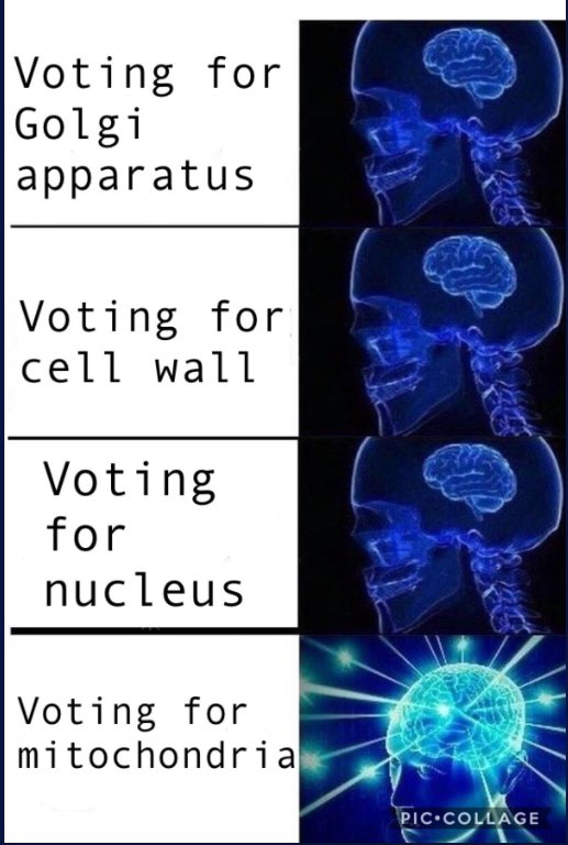 prez_mitochondr's tweet image. We 100% agree.... @Mitochond4Pres All mitochondria stick together!

#votemito #DSAAPBio2