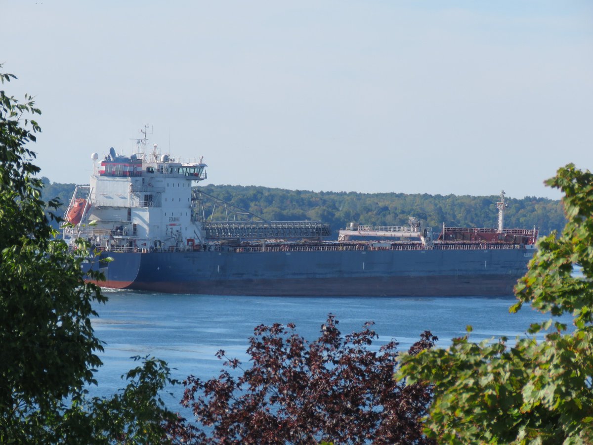 PrescottAnchor's tweet photo. 23 Sept 2018 up #StLawrenceSeaway at Prescott ON 09h41 Algoma Niagara, SDBC flagged Canada for Thunder Bay ON. #AlgomaNiagara #Algoma 
Almost missed her! https://t.co/U5VczbK15U