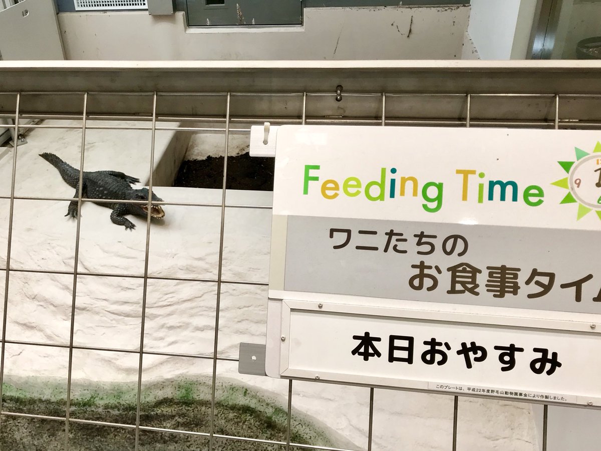 coffeeeffoc's tweet image. 横浜の良心🦍野毛山動物園