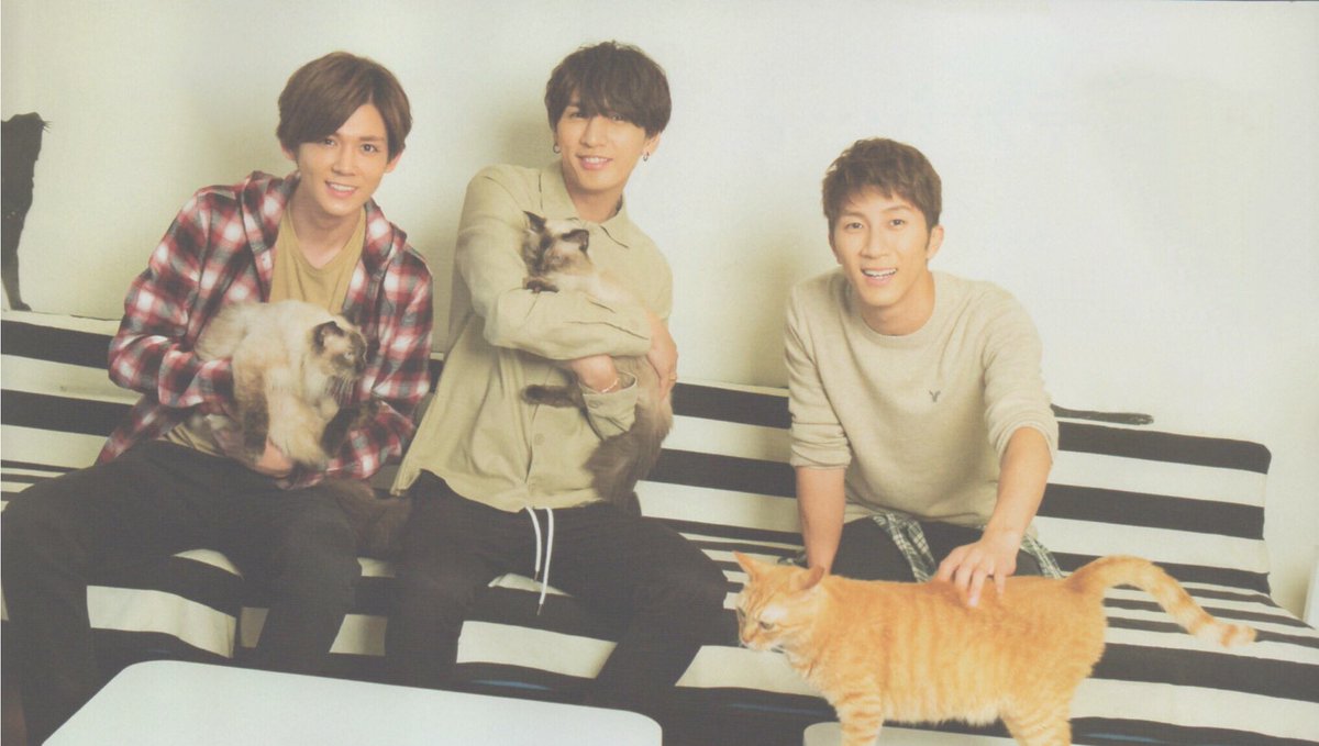 ktnz_x's tweet photo. 明日から猫になろうかな https://t.co/YbymqVeo2m