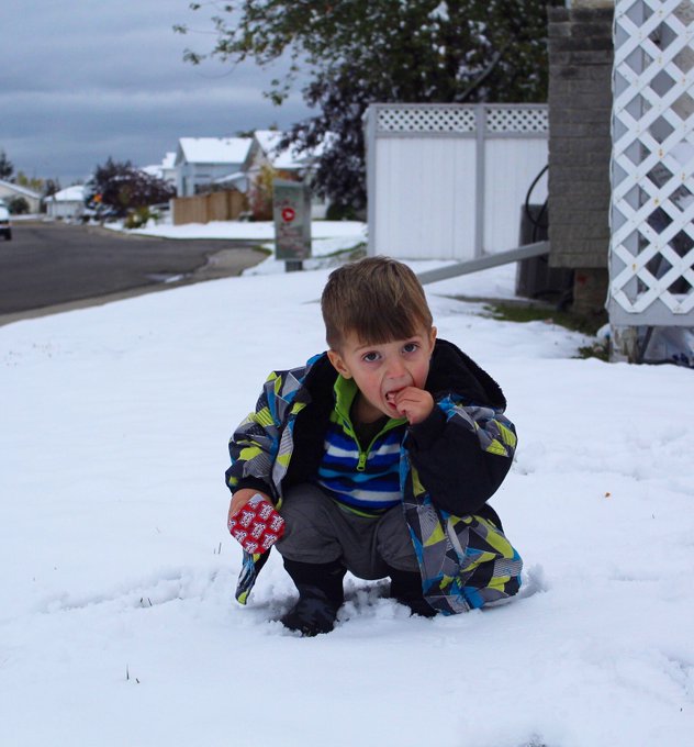 Parents: Don&rsquo;t eat the snow. I mean it.  Kids:  #yeg #edmonton #edmontonmama #yegkids #edmontonkids #yeggers<a href="/tag/yeg"class="tags">#yeg</a><a href="/tag/momlife"class="tags"><span>#momlife</span></a><a href="/tag/parenting"class="tags"><span>#parenting</span></a><a href="/tag/snowday"class="tags"><span>#snowday</span></a><a href="/tag/edmonton"class="tags"><span>#edmonton</span></a><a href="/tag/dadlife"class="tags"><span>#dadlife</span></a>