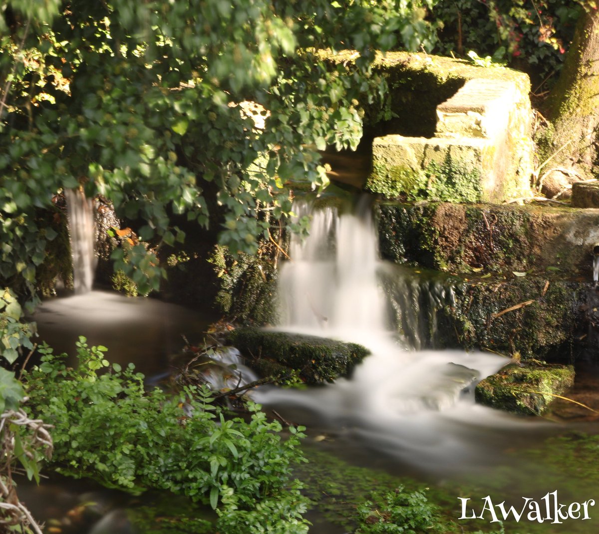 ᒪᗩᑌᖇᗴᒪᒪᗩ ᗯᗩᒪᛕᗴᖇ tweet media