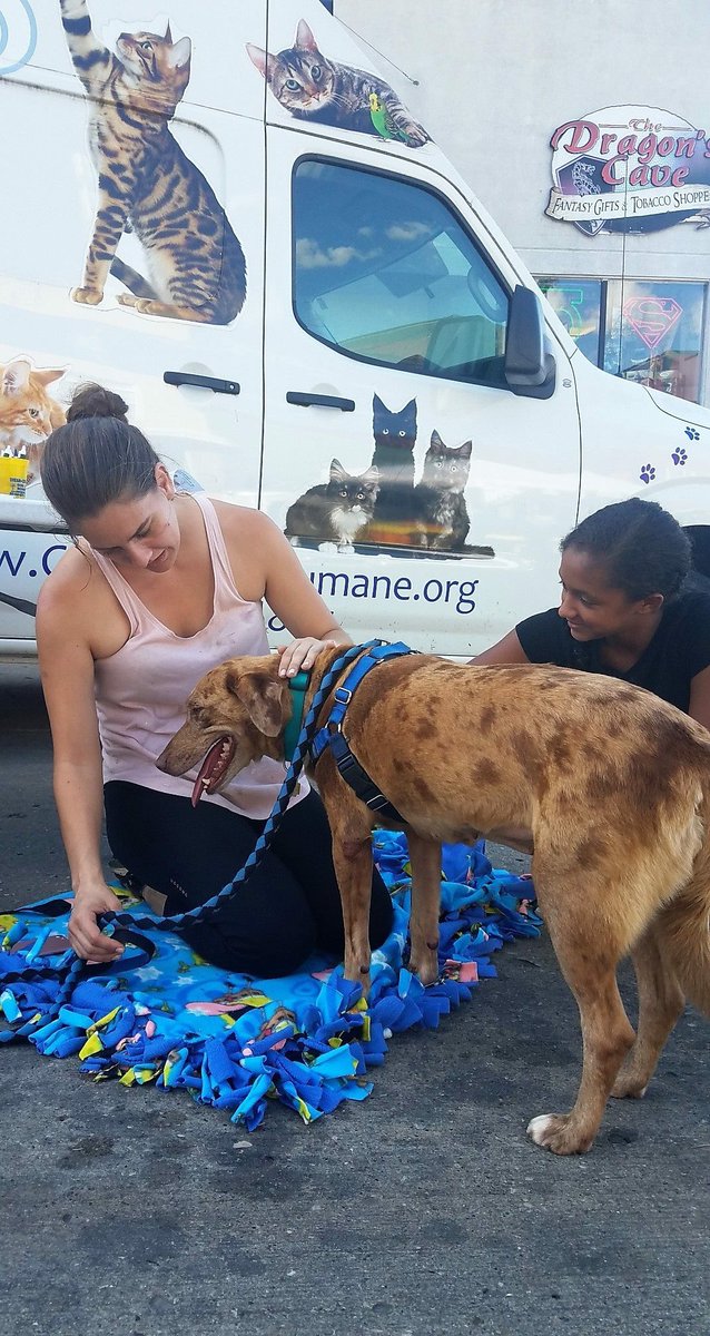 PAWSAmerica's tweet photo. Sweet Cinnamon who we pulled from the Broken Arrow shelter the day she was supposed to be euthanized enjoyed a day out in Cedad Bend courtesy of @CedarBendHS! They’re treating her for heart worm and then she will find her forever home! #adoptdontstop #RescueDogs #rescue #dog https://t.co/gjfvE6hywR