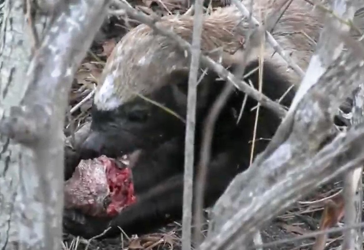 Maryann On Twitter Many Thanks Steve Sydney David Fc