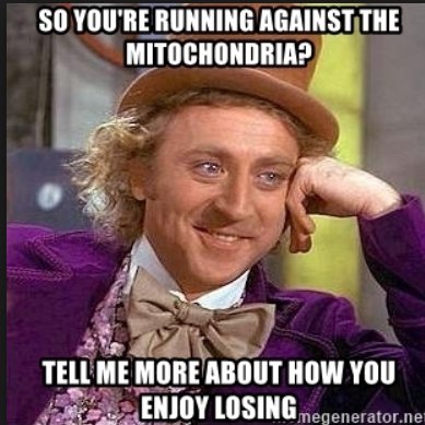 prez_mitochondr's tweet image. How's the weather down there at the bottom of the polls..... #votemito #DSAAPBio2