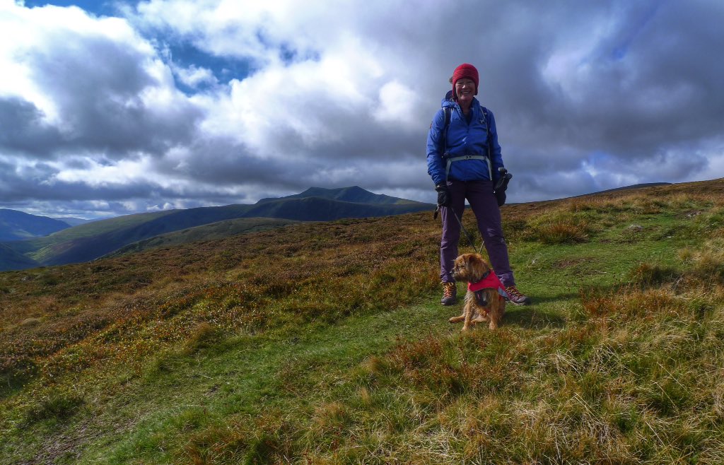 Back in the northern #fells with the wee dug. Up east ridge of Bannerdale Crag and on to Bowscale Fell #Wainwrights. Cool but beautiful #Autumn day in the #LakeDistrict. <a href="/BestDogPhotos/">Best Dog Photos & Dog Walks UK</a>