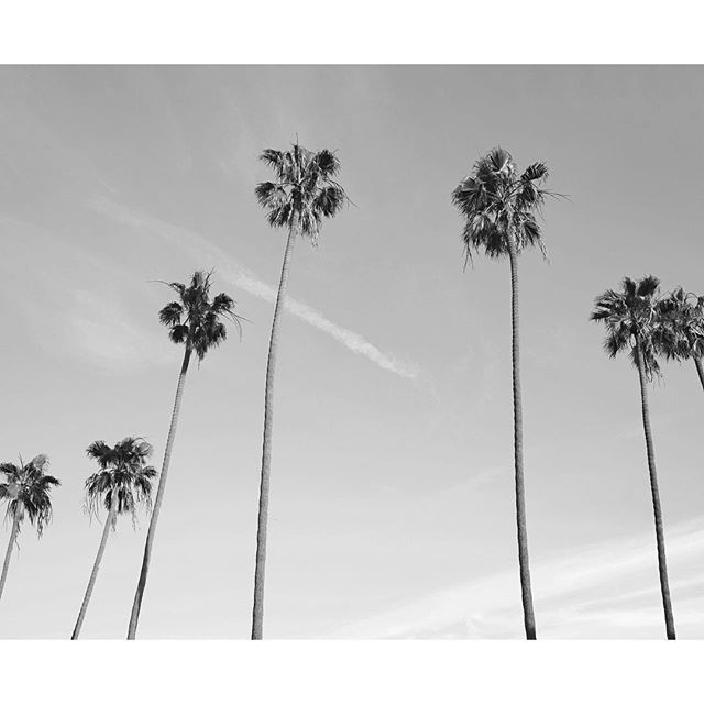 Somewhere way out west. Ⓢ  #symplsupplyco ift.tt/2OM4Lvp