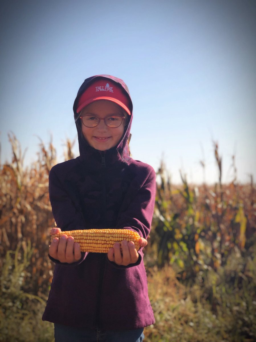 Trent Siebecker tweet media