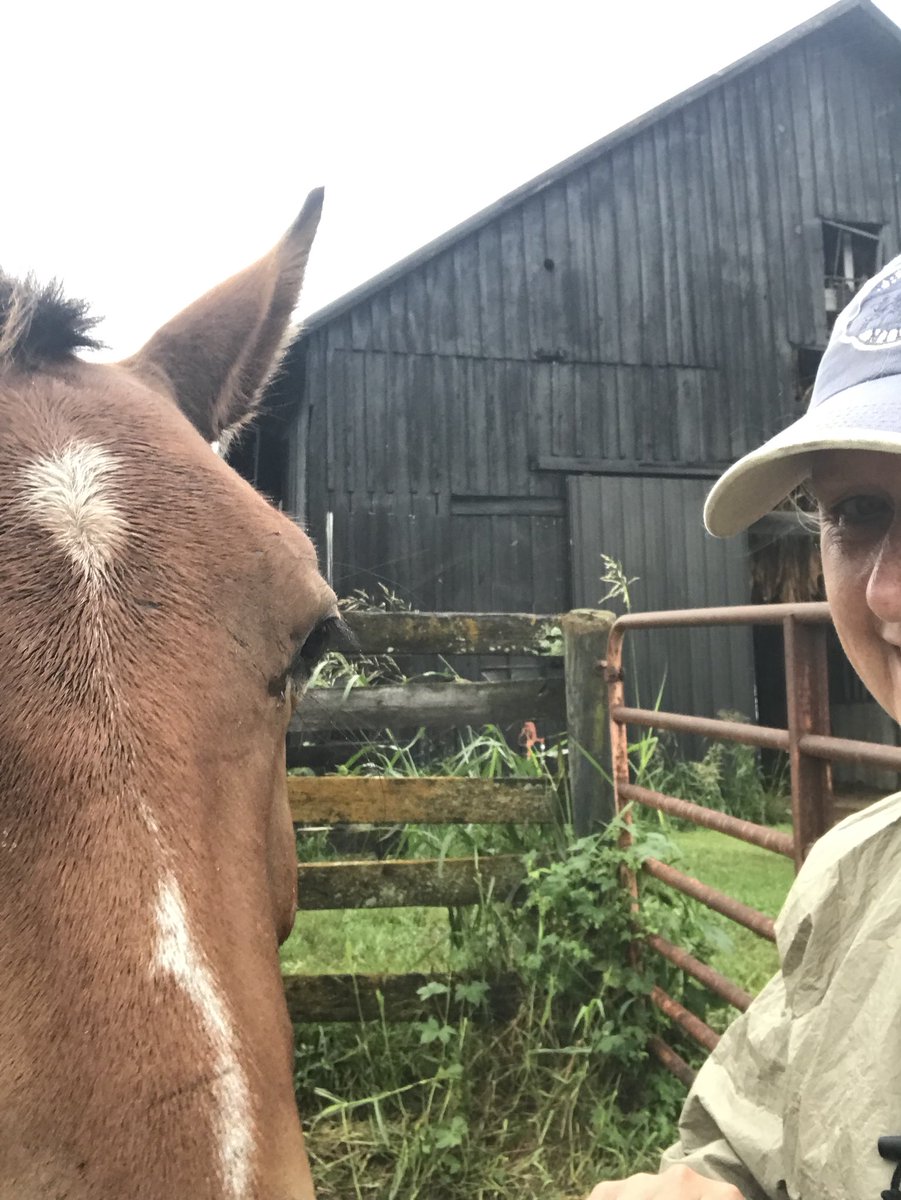 racing_fillies's tweet photo. #SelfieSunday in the rain!!  Love this boy!!  Chance is wondering where the hot weather went, it’s only 65* today!! #WelcomeToKentucky #kentuckyweather @icareihelp @HalParker9 @TheAfleetAlex @exacta123 #rescuedfromslaughter #hislifeisworthit #mySecondChance #isnthecute https://t.co/BtweShID4F