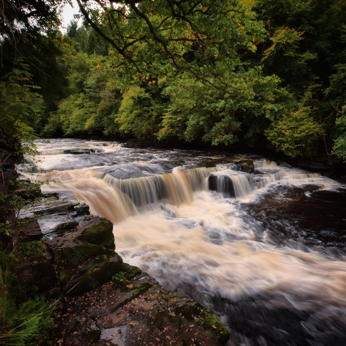 Plenty water coming over Dundaff Linn earlier. @VisitScotland @VsitLanarkshire @newlanarkwhs @welovehistory @TheFallsOfClyde #newlanark #lanarkshire #scotspirit #ScotlandisNow #Scotland #dundafflinn #waterfall