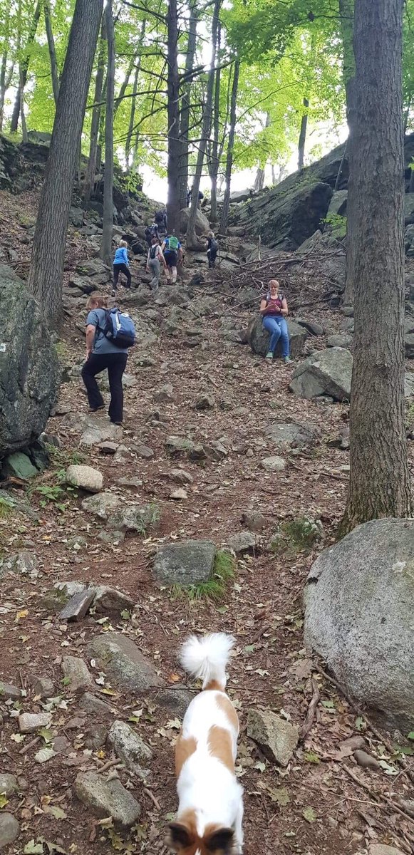 CiociaMyszka's tweet photo. Today’s hike through hell 😱😂🤪, made it there and back 😬. #PolishHikers #PolishPeakers #howaminotdeadyet #mypoor👣#yeepee https://t.co/xEeiCXEcad