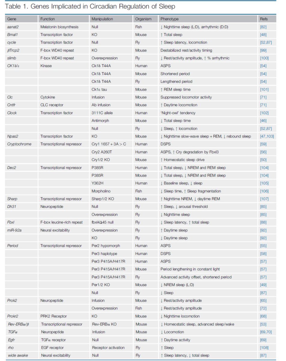 SatchinPanda's tweet image. Fantastic review on the connection between circadian clock genes and sleep in @TrendsGenetics 
sciencedirect.com/science/articl…
