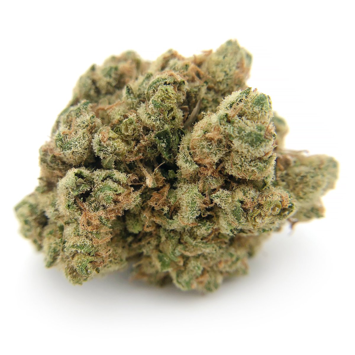 LuckyLeafCo's tweet photo. Here’s a few snaps of the #chemdawg cultivated by @vodisusa 🔥💨
.
.
.
.
#cannabis #gas #fire #sauce #loud #terps #wakeandbake #cannafam #dabhead #i502 #kush #spokane #stoner #weedporn #dab #luckyleafco #dabs  #wax #vape #errl #shatter #spokanestoners #pnw #cannabiscommunity https://t.co/9GYKJuHWt8