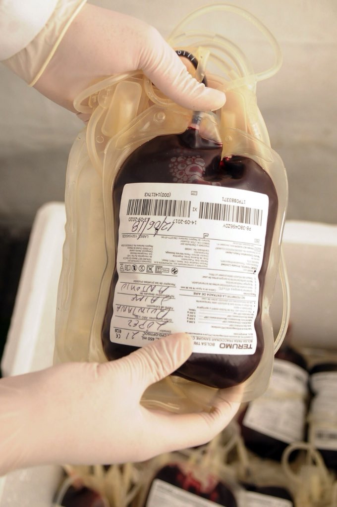 SaludEdomex's tweet photo. AUMENTA DONACIÓN ALTRUISTA DE SANGRE EN EL EDOMÉX
 https://t.co/arUFG9q2Vg https://t.co/27s9x98lTu