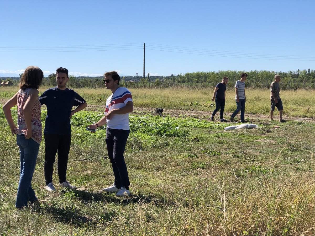 dorian_lhez's tweet image. Cet après midi nous étions chez Céline et son compagnon qui nous ont fait découvrir le métier de maraîcher(e). Céline s’est lancée dans l’agriculture biologique diversifiée. 🌱#TFAA #TFAAHauteGaronne