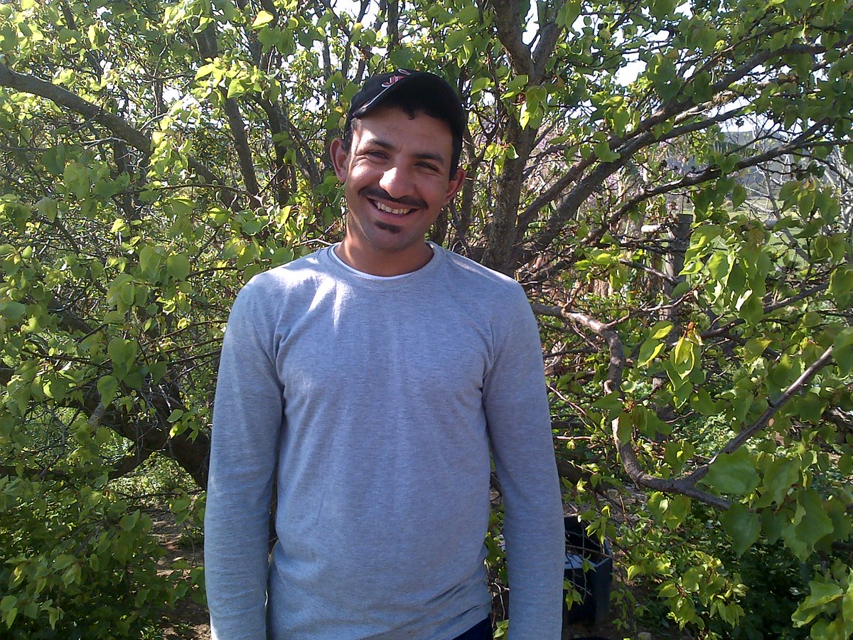 Rudolf Arpin (@rudolf67026142) on Twitter photo 