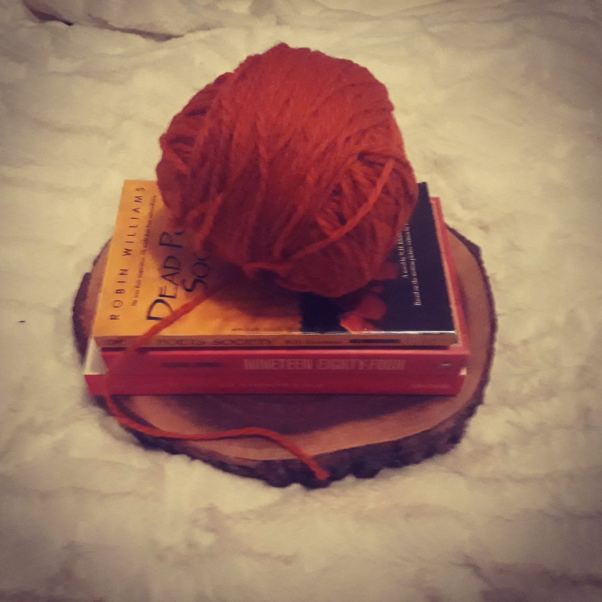 gothvamperstein's tweet photo. Totally ready for the #BBReadathon . #BannedBooksWeek #tbrpile https://t.co/wZ0kU6ceN5