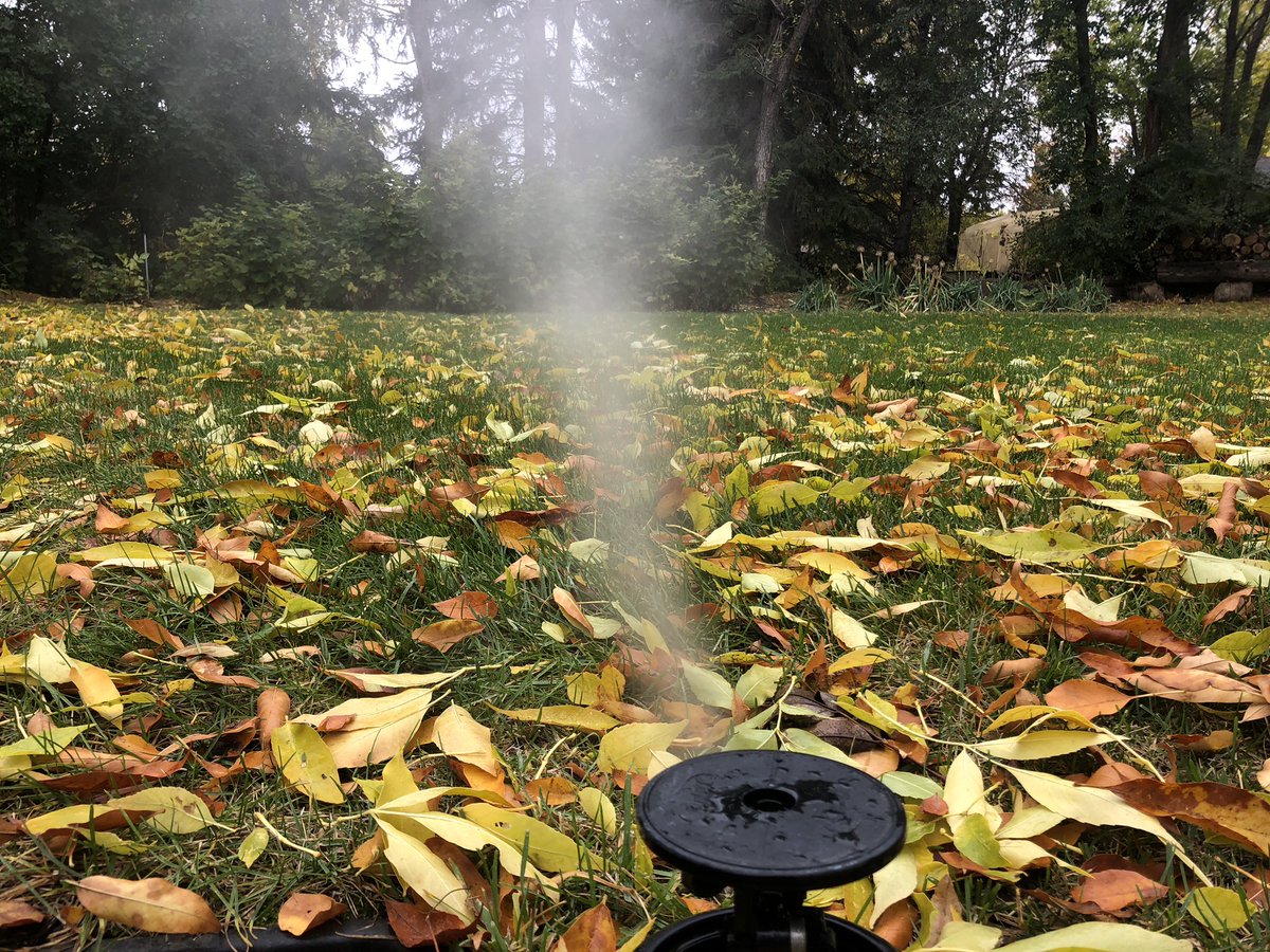 TimChicilo's tweet image. It’s that time of year to blow out the sprinklers.