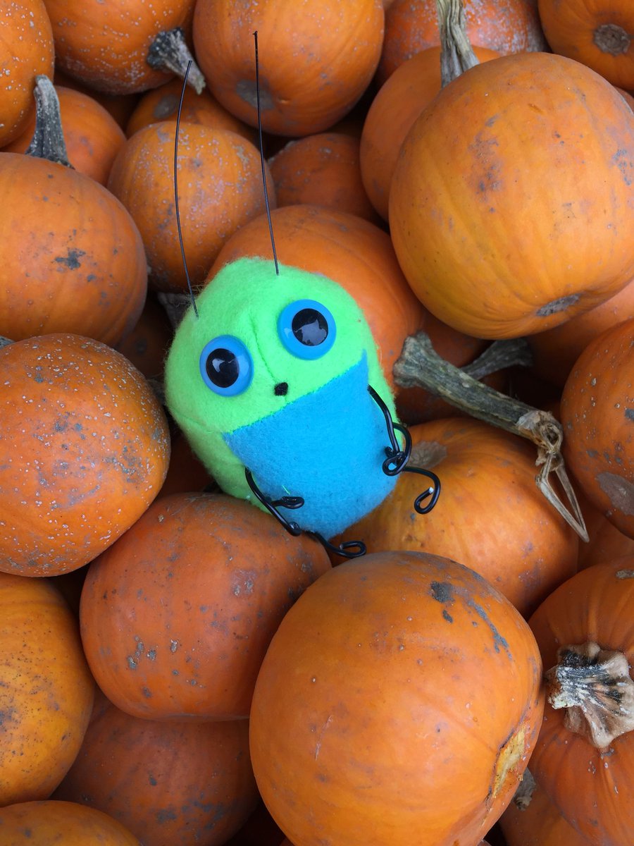 casehighprinc's tweet photo. More fall foolishness as Mac visits an orchard near @UMassAmherst yesterday. #bringthebug https://t.co/LOl8nHH950