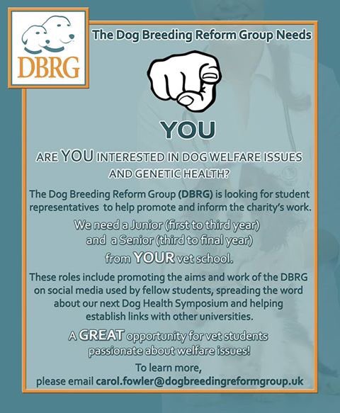 DogBRG's tweet image. ARE YOU A STUDENT VN OR VET PASSIONATE ABOUT DOG WELFARE?