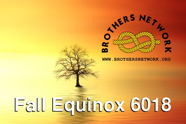 Brothers Network tweet media