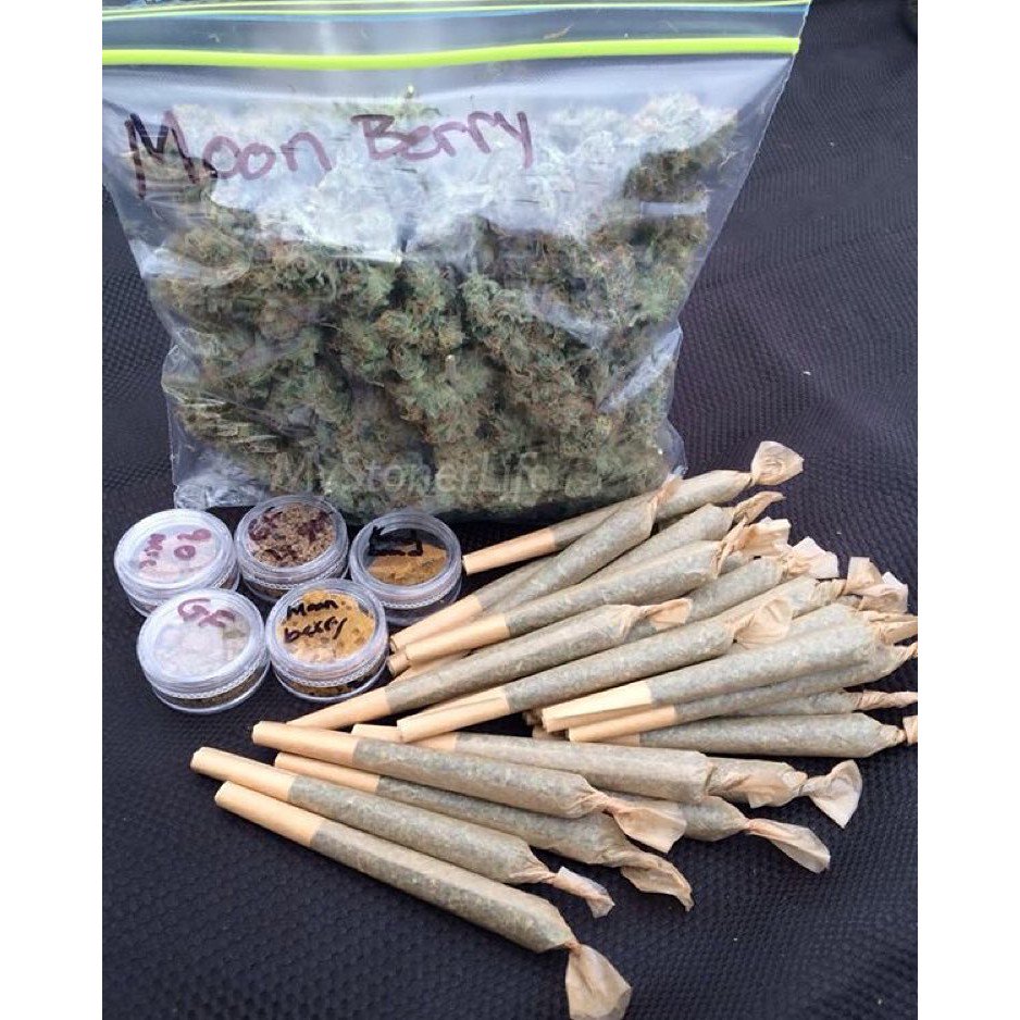 ____Cannabis's tweet photo. #Cannabis https://t.co/fVY011CDpy