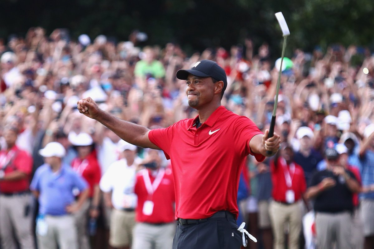 OGTigerTracker's tweet photo. https://t.co/OEiOmoH1A2