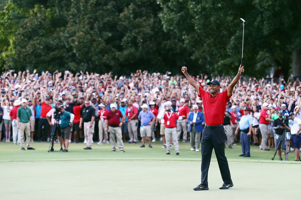 Tiger Tracker (@gctigertracker) on Twitter photo 
