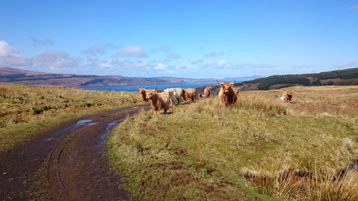 BellIngram's tweet photo. We specialise in working with #rural businesses in particular - it's a very different way of life and business. Talk to #bellingram we will understand the specific issues. https://t.co/KZI26U6RKg