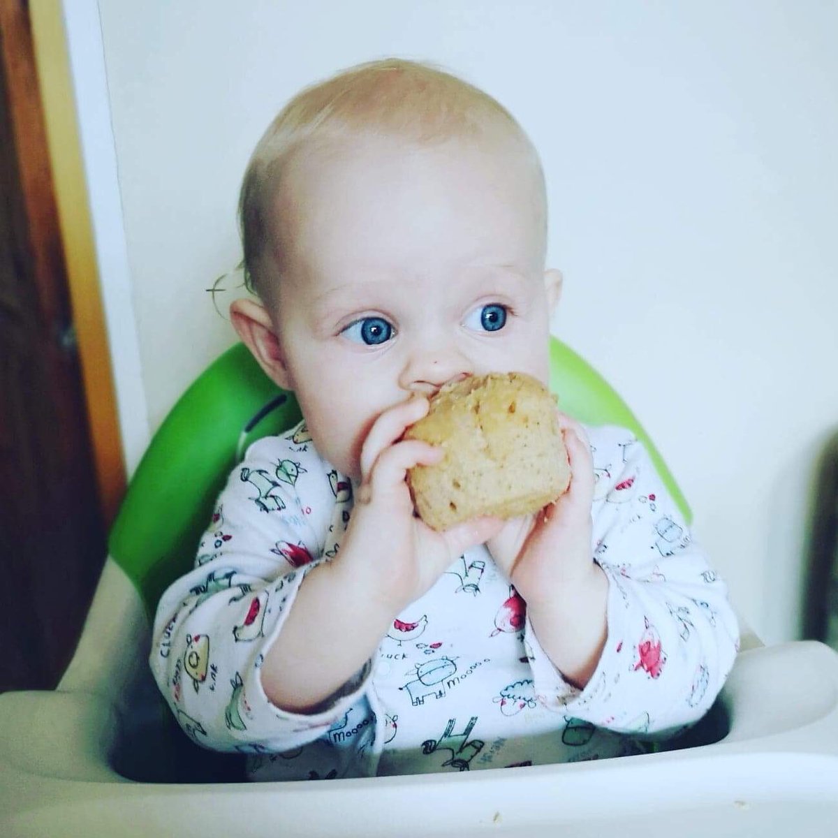 OnlyWayIsLOCAL's tweet photo. Finally got round to making the Apple and Cinnamon muffins using @TheMuffinMakery mixes with added fresh apples and Paddy absolutely loved them. #DairyEggAndGlutenFree #HeIsMuffinEater https://t.co/m79av2moks