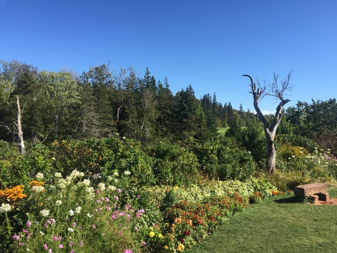 Anne of Green Gables (ridiculous wig hat and all) on my last day in PEI. Excuse grubby no makeup face