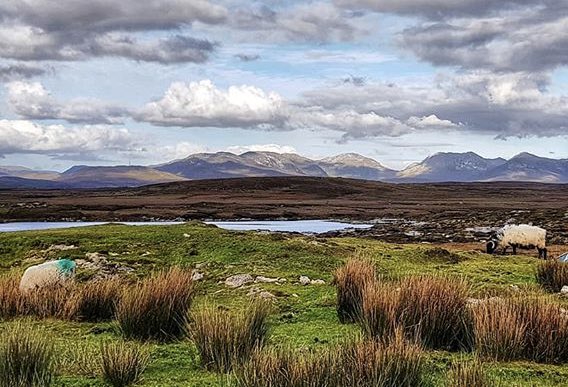 𝗚𝗮𝗹𝘄𝗮𝘆 𝗧𝗼𝘂𝗿𝗶𝘀𝗺 tweet media