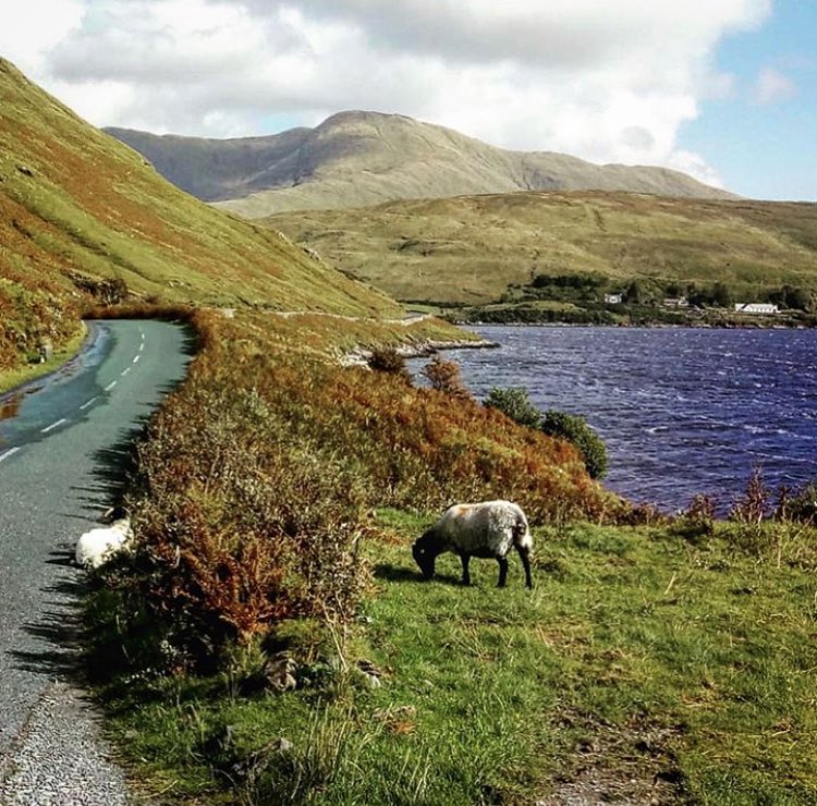 𝗚𝗮𝗹𝘄𝗮𝘆 𝗧𝗼𝘂𝗿𝗶𝘀𝗺 tweet media