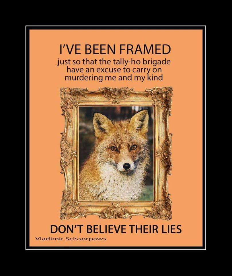 Wildlifegirl_28's tweet image. #BanCubbing #BanFoxHunting #HuntingIsNotConservation #HuntingKills