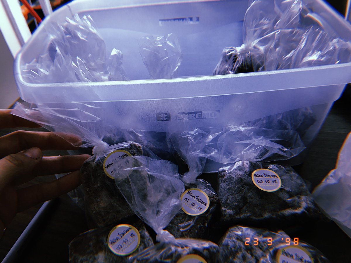 shawnigths's tweet photo. cheguei no ápice de ser fã e agora estou vendendo palha italiana pra conseguir comprar o ingresso https://t.co/oGk1MyMdsI