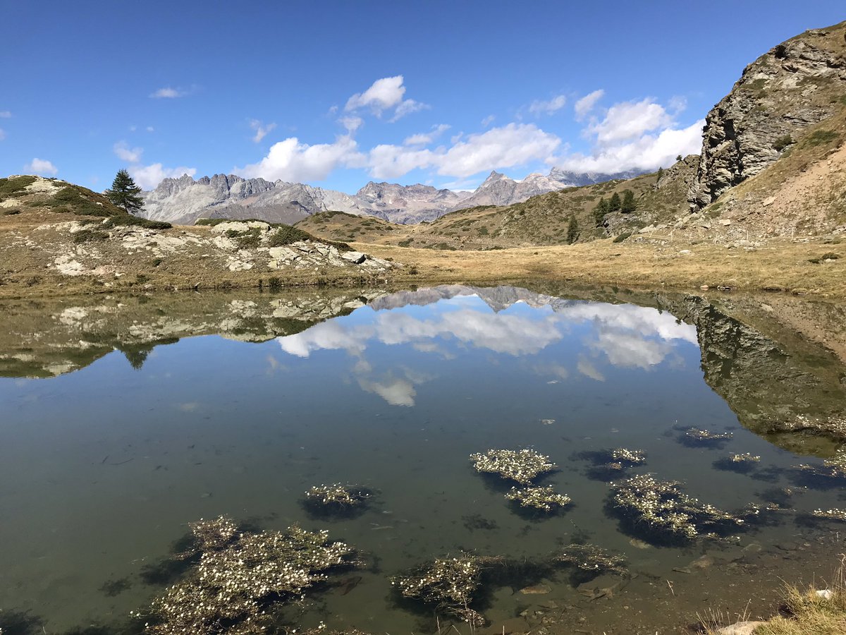 pac1954's tweet photo. Oggi a salire al Col Pilonnet eravamo io d mia moglie da Chamois e altri 4 che salivano da Antagod. Regalo di compleanno #vda #valledaosta #silenzio #pace #64anni https://t.co/UgLFGFU1BF