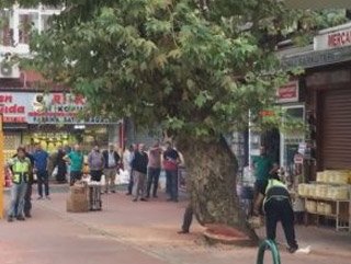 Hytbryn's tweet photo. Rizede iki asırlık ağaç kesildi

Iki asırlık ağaç dükkânın önünü kapatmadı,sen ağacın önünü kapattın;sen dünkü esnafsın ağaç iki asırdır orda. https://t.co/i24yvHEdKv