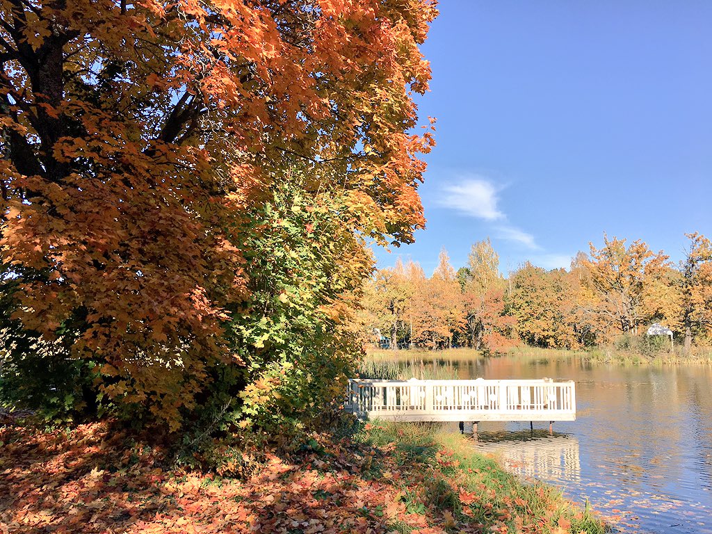 Друзья, с октября музей открыт с 9.00-17.00, выходной понедельник. Ждём в гости в #хмелита #griboedovmuseum #Россия #усадьба #музей