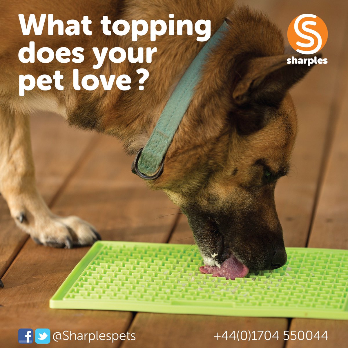 What topping do you use on your Lickimat?

We'd love to learn more about how our customers use their Lickimat and what their pets love or hate…

#pets #lickimat <a href="/innopetproducts/">Hazel Clarke</a> <a href="/PetTradeXtra/">Pet Trade Xtra</a> <a href="/PetBusinessNews/">Pet Business World</a>