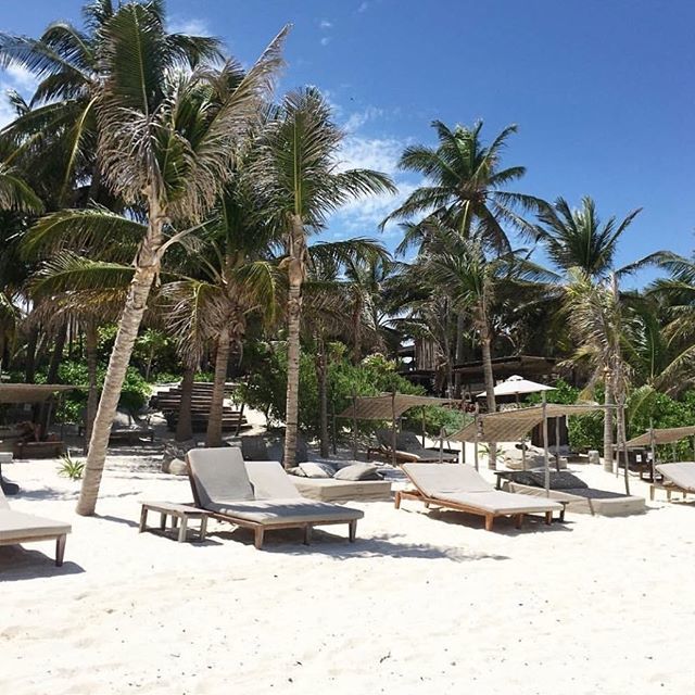 BeTulumHotel's tweet image. Slow mornings.⠀
⠀
#BeTulum #Be #BeUniverse #BeUnique⠀⠀ ⠀