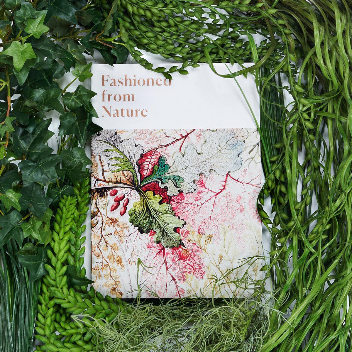 The Fashioned From Nature exhibition is still on at the V&amp;A - catch it while you can! Before you go, check out our highlights to see exactly what to look out for: buff.ly/2l9RpvJ