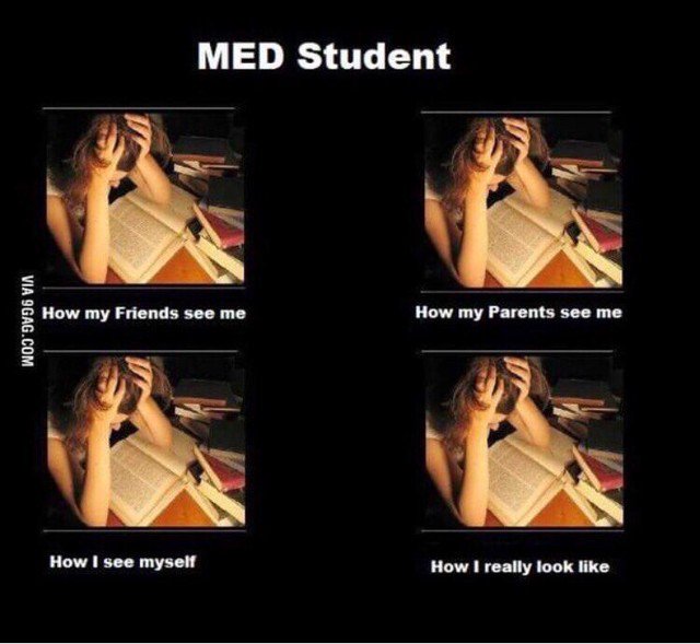 LifeofMedstudnt's tweet photo. #LifeofaMedStudent https://t.co/3di2EmYXGF