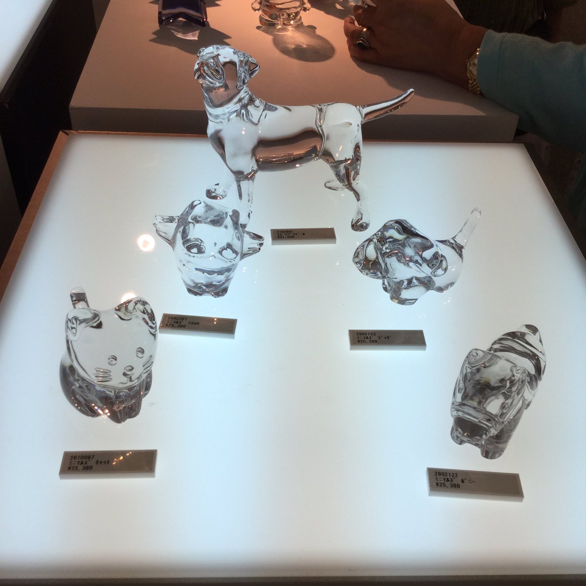 バカラ展 バカラ展