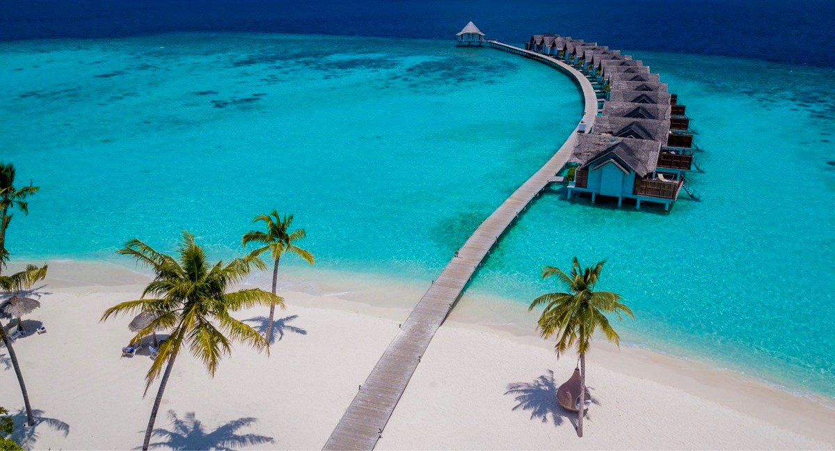 FuraveriResort's tweet photo. The magnificent Water Villas are built over the sparkling lagoon and close to the house reef with its incredible marine life. Stunning view of the crystal waters. .
#maldives #maldivesresort #beach #tropical #turquoiselagoon #watervilla #honeymoon #vacation #crystalclear https://t.co/lFIsbthxks