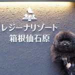 ツイートに含まれる画像